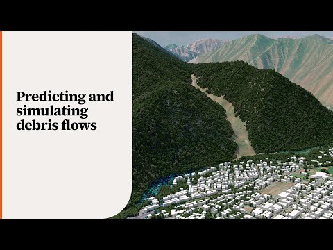 DebrisFlow Predictor