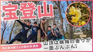 【宝登山】登山　長瀞駅から天然氷の氷池を見ながらロウバイの咲く山頂を目指す家族登山