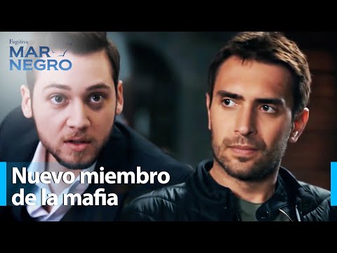 Murat comienza a disfrutar de lo que proporciona el dinero - Mar Negro Capítulo 163 | Fugitiva