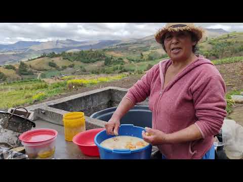 Jutes de papa fritos de doña Policarpa Munevar. Aquitania Boyacá, vereda el Tobal