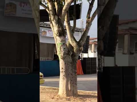 manhã de domingo igreja onde fui batizado jaguarari Bahia Brasil 13 setembro 2026