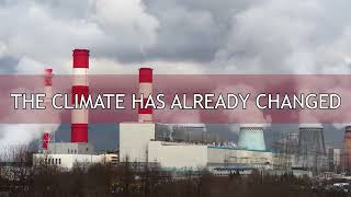 One tree planted Demines Ukraine