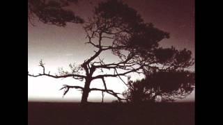 heaven 17 - with or without you (u2 cover)