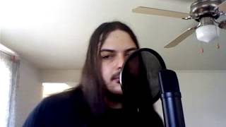 Stone Sour - Orchids (vocal cover)