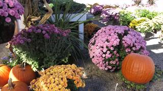 "Take it Easy" by MBB