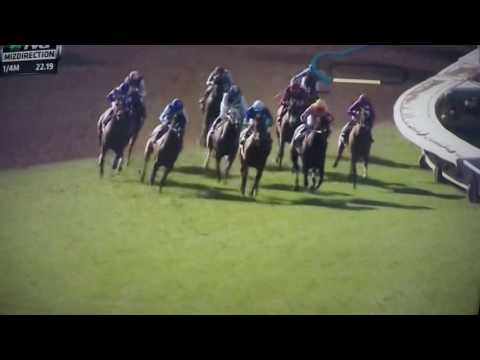 MIZDIRECTION G STAKES $75.000 2017 -PAQUITA COQUETA!!!