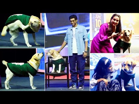 Rana Daggubati And Anchor Manjusha SUPER CUTE Moments With Dog Charlie | Rakshit Shetty | News Buzz