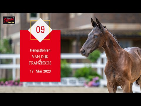 09 Hengst v. Van Dijk - Franziskus