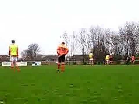 Patrijzen B1 - Wolfaartsdijk B1