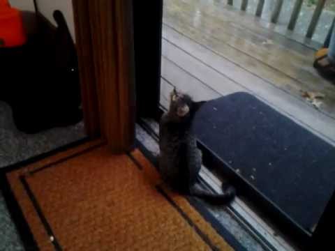 Another one of Mauro