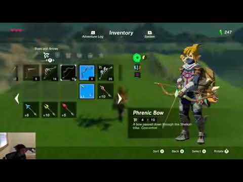 Legend of Zelda:  Breath of the Wild speedrun