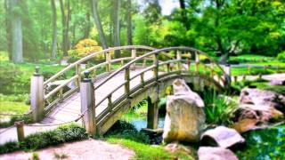 Relaxing Reiki Healing Music. Meditation Calming Music for Balance and Concentration, Relax, Yoga