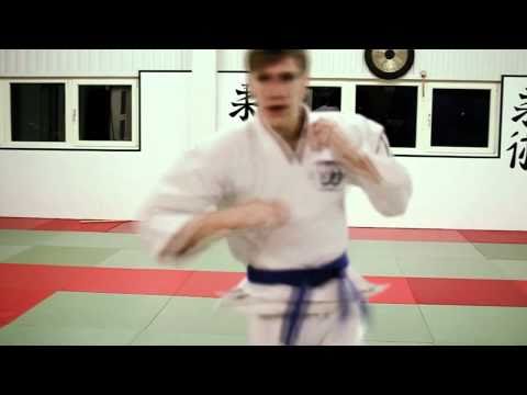 Jiu Jitsu: ZBD Online Series - The Dojo Sessions: Volume I