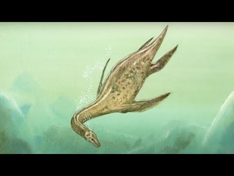 A verdade sobre o monstro do Lago Ness