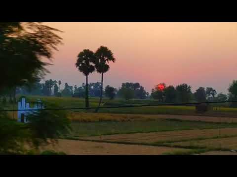 "The Minor Collection Discourses: Sutta Nipāta (Snp) 1.2 - Dhaniya Sutta: “Dhaniya, the Cowherd.”