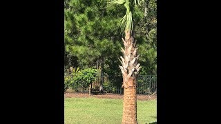 Healing What Was, Embracing What Is, Visioning Greatness In What Will Be