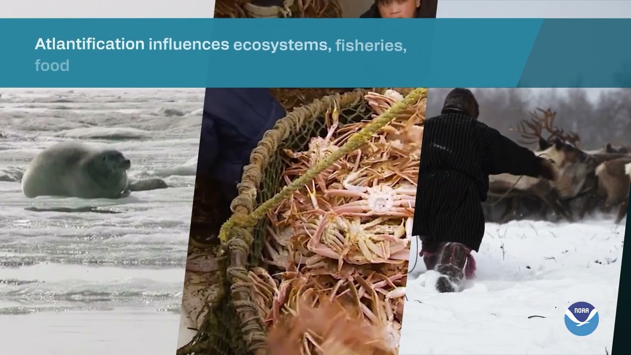 NOAA Arctic Report Card 2025 - Trailer