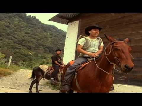 El Agricultor Harold Motta