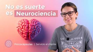 Neurociencia: cómo el cerebro recuerda experiencias