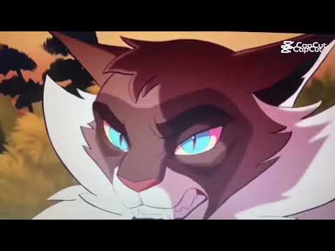 Jeżynowy pazur VS jastrzębi mróz  napiszcie w komentarzu kogo wolicie