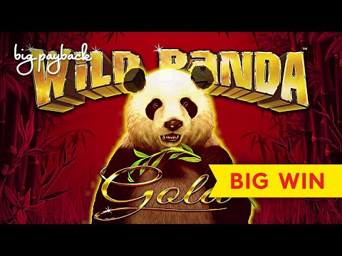 BIG WIN, MAX BET! Wild Panda Gold Slot - GREAT SESSION! - YouTube