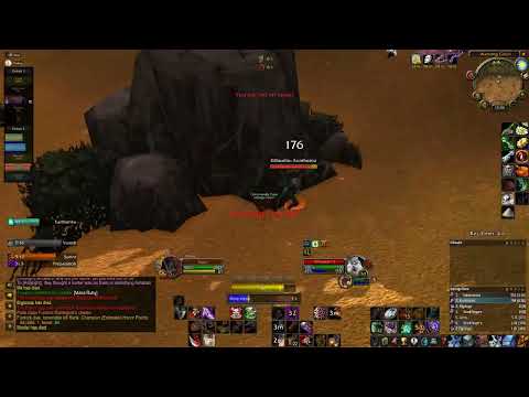 Pretending to be a hunter pet in PvP | WoW Classic