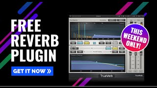 Video thumbnail for Get Waves TrueVerb for FREE by imamusicmogul