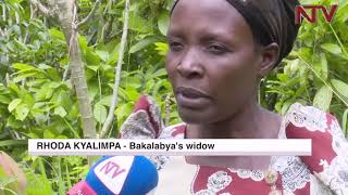 Kagadi Vanilla farmer killed by son over 75 million shillings harvest