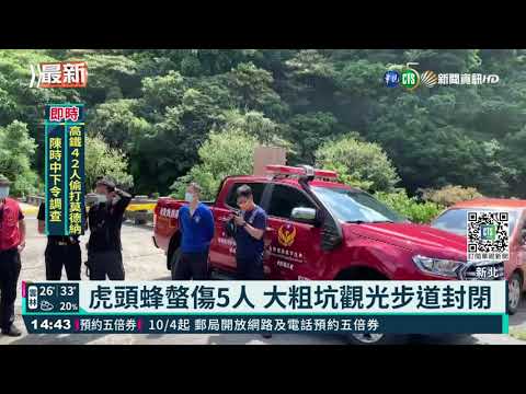 虎頭蜂螫傷5人 大粗坑觀光步道封閉