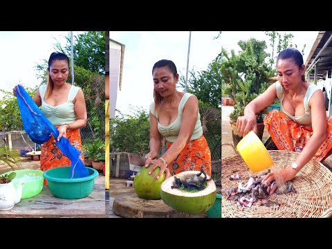 Yummy! bull frog soup with fresh coconut water recipes - Amazing video Countryside cooking