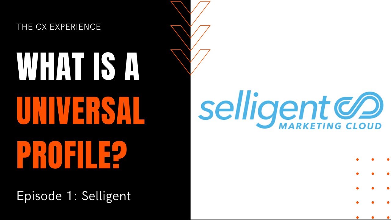 What is a UNIVERSAL PROFILE? - Selligent