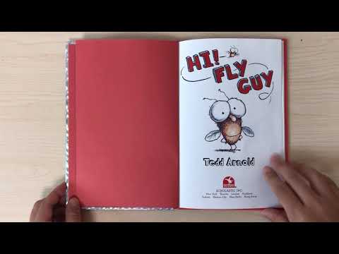 Hi!Fly guy / early chapter book / read aloud / children's book read aloud