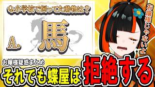 【弁明あり】数々のお嬢様疑惑が浮上するも否認し続ける蝶屋はなびまとめ【ぶいすぽっ！/切り抜き/蝶屋はなび】