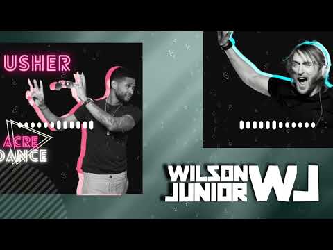 David Guetta ft. Usher - Without You (Wilson Junior) (Acre Dance)
