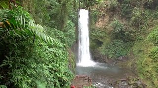 El Parque Natural la Paz Waterfall, una joya natural