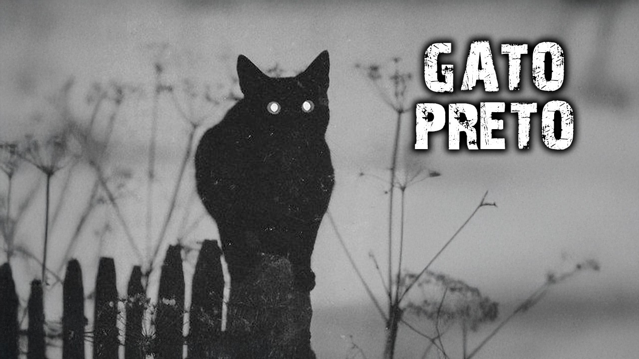 SE UM GATO PRETO APARECER NO JARDIM, CHAME A POLÍCIA!