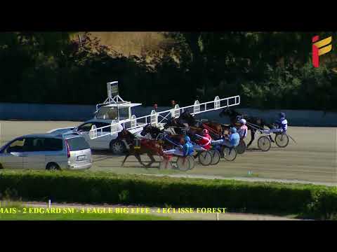 Prova di qualifica del 5 ottobre 2022 - 2 Anni - Metri 1600