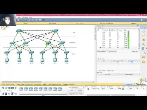 3.1.1.5 - 2.1.1.5 Packet Tracer - Examining a Redundant Design