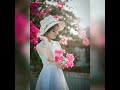 Hai Re Meri Motto WhatsApp Status