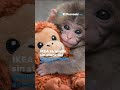 Se queda sin stock IKEA tras alta demanda por peluche de orangut&aacute;n