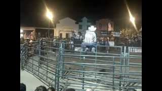 preview picture of video 'Things To Do In Cave Creek Arizona | Bull Riding Buffalo Chip Saloon'
