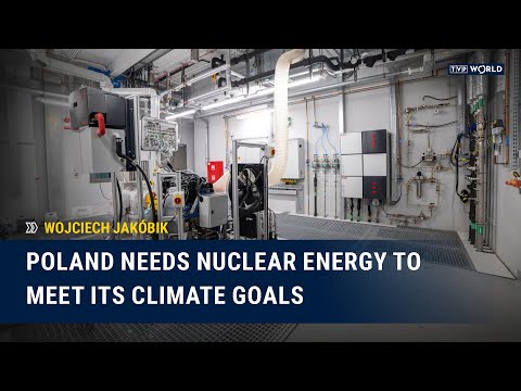 A small reactor means lower costs and shorter construction time | Wojciech Jakóbik