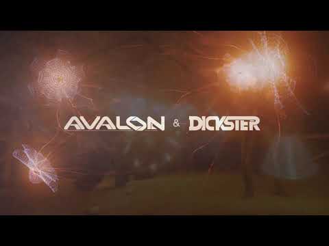Avalon & Dickster: Free Earth Festival / Pre-Event / Turkey