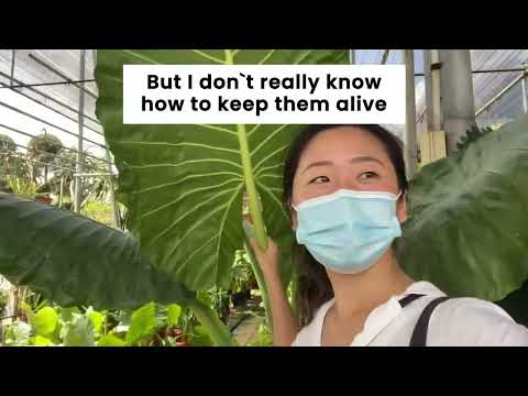 PlantIn app review: Now I know exactly what my plants need