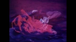 Pink Narcissus + Juana Molina Paraguaya