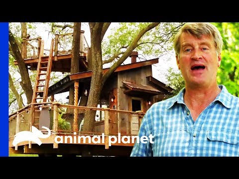 Building An Unbelievable Rustic River Treehouse | Treehouse Masters