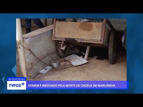 Homem é indiciado pela morte de cadela em Marilândia