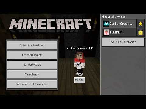 Der Bau der Mobfarm und weitere Vorbereitung | Minecraft Prime