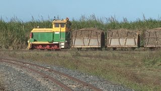 preview picture of video 'Little critter, big train : Australian Railways'