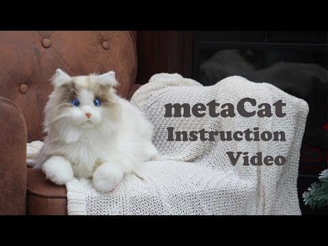 metaCat | Explore the Capabilities and Settings of the Bionic Companion Pet